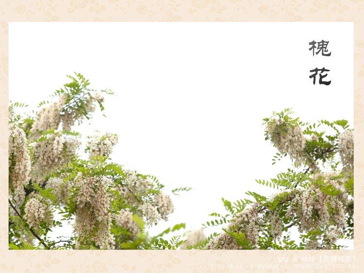 秋叶【美摄视界】