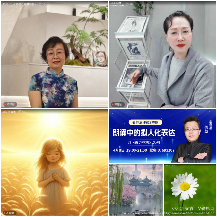 无言🎤V娱热点