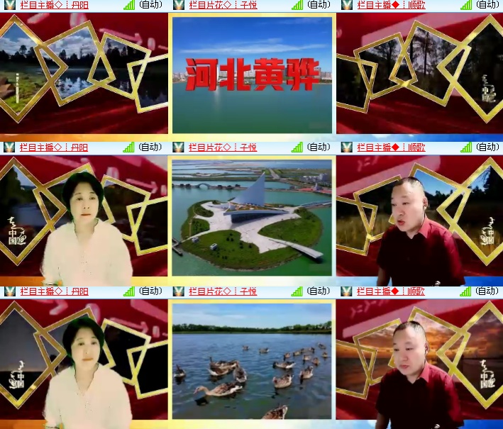 海燕🎤V娱热点