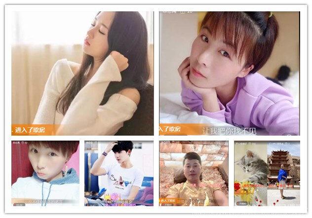 橘猫🎤V娱热点