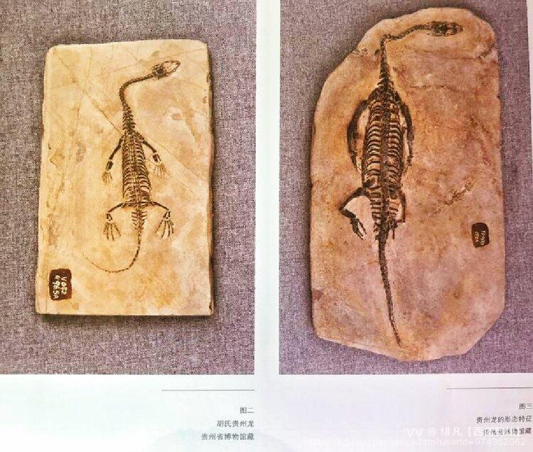 绯凡【西窗剪烛】
