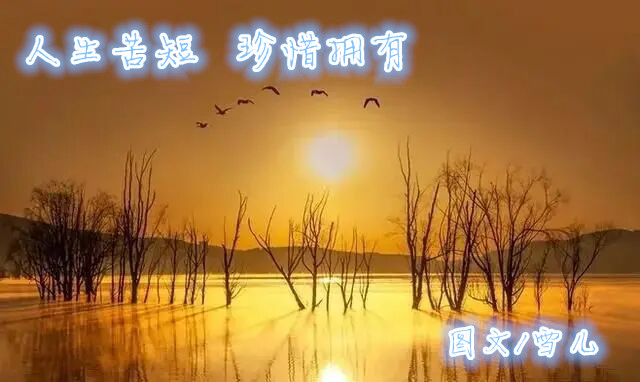 雪儿🎤V娱热点