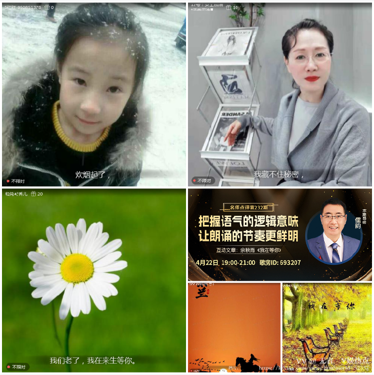 无言🎤V娱热点