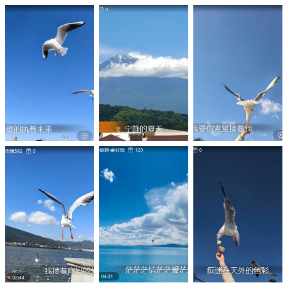 芯薇🎤V娱热点