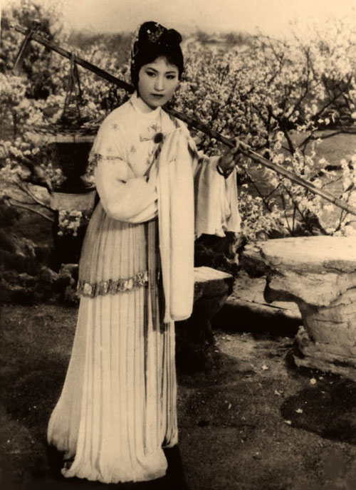 葬花吟