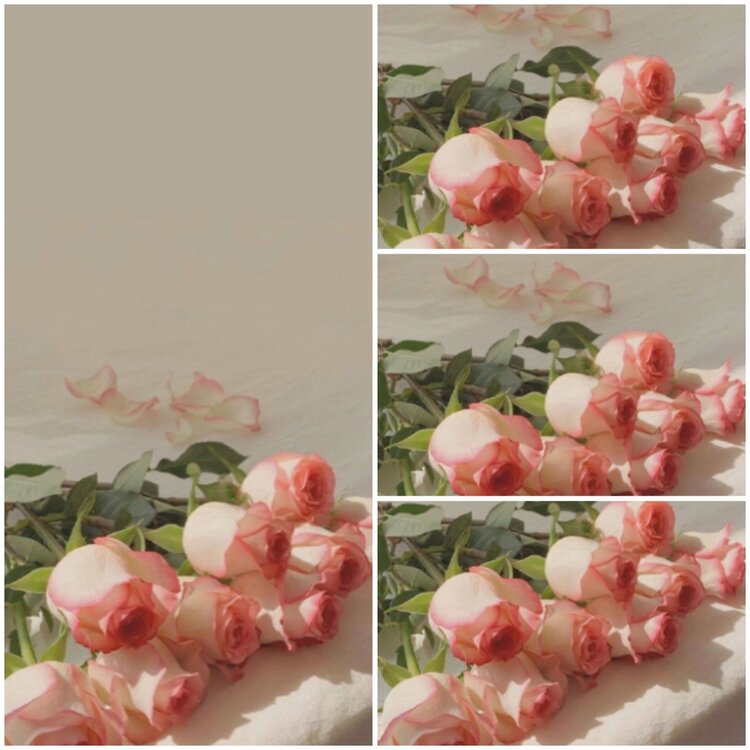 思点🎤V娱热点