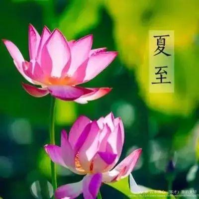 云水禅心（陈才）雅韵文轩