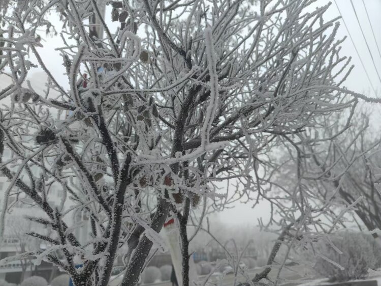 雪儿🎤V娱热点