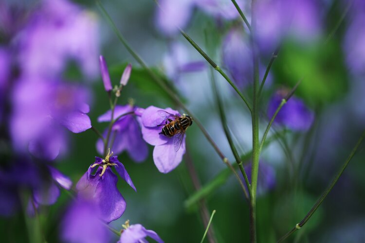 明森（美摄视界）