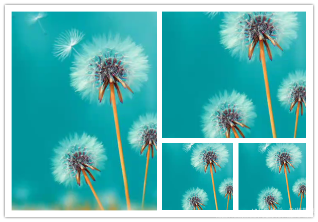 纳兰＿🎤V娱热点