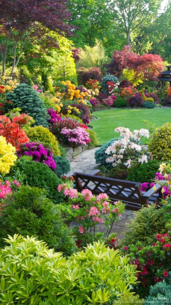 心灵花园吧我们都渴望沐浴幸福之光无论生活怎样只剩简单和快乐除掉