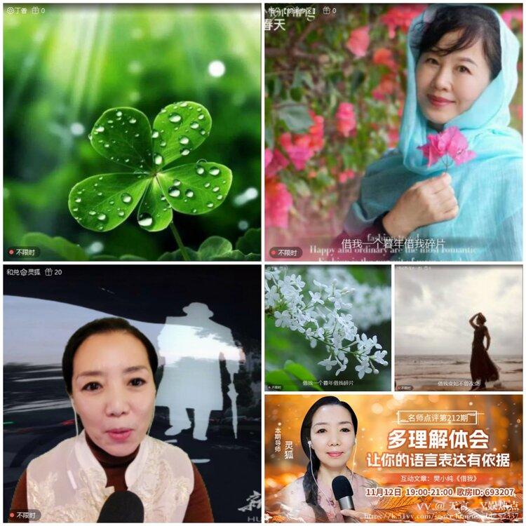 无言🎤V娱热点