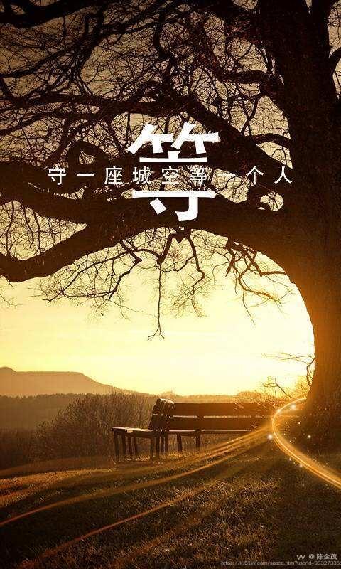 陈金茂
