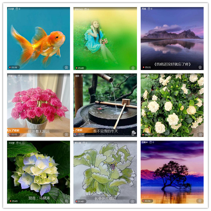 听云🎤V娱热点