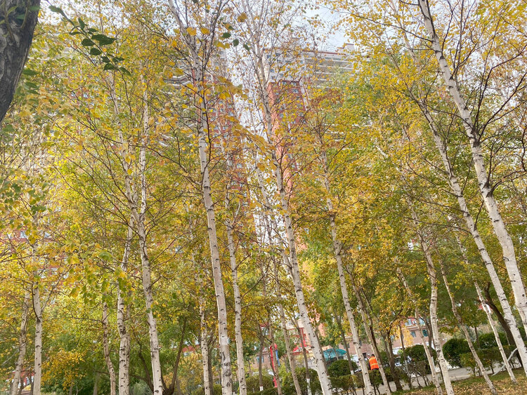 雪儿🎤V娱热点