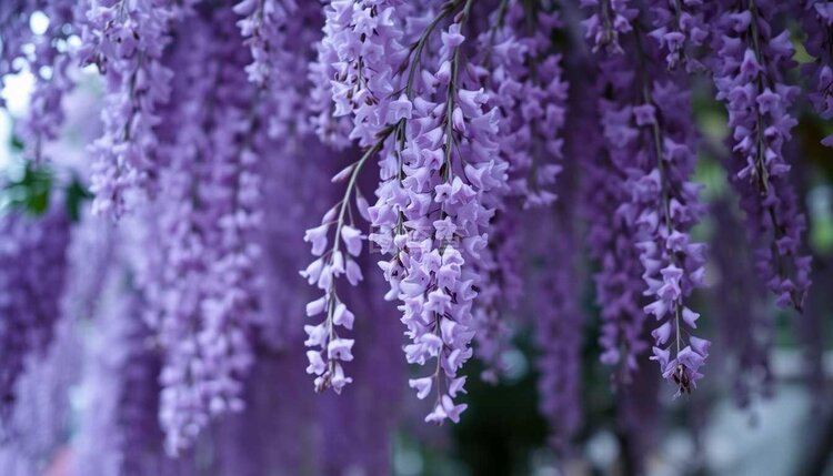 小浅🎤V娱热点