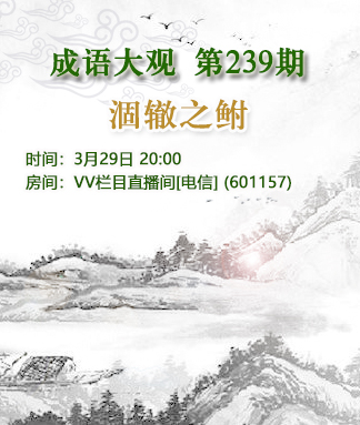 港湾🎤V娱热点