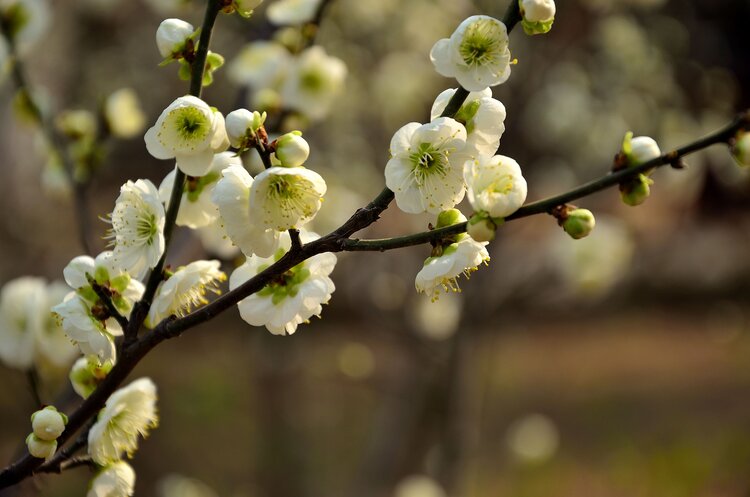 曾经🎤V娱热点