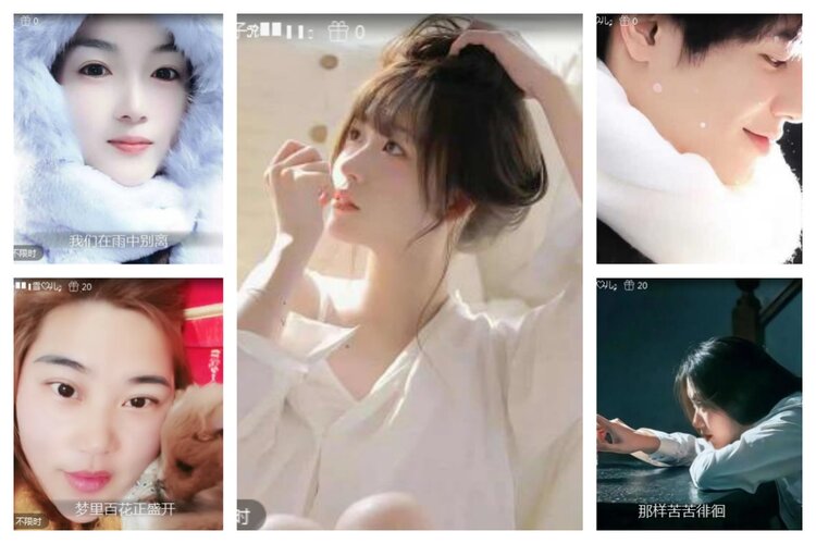 海燕🎤V娱热点