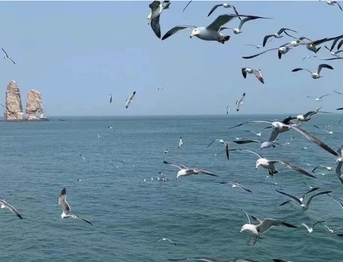 小浅🎤V娱热点