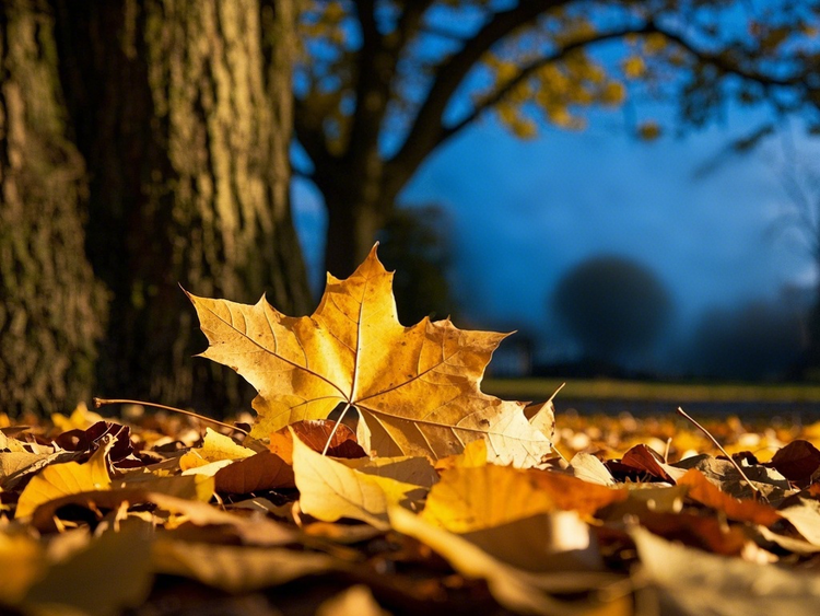 曾经🎤V娱热点