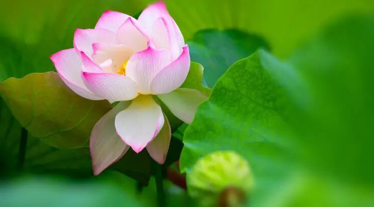 雪儿🎤V娱热点