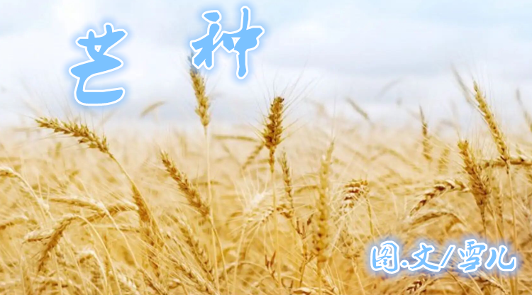 雪儿🎤V娱热点