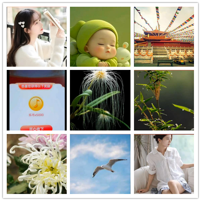 小路🎤V娱热点