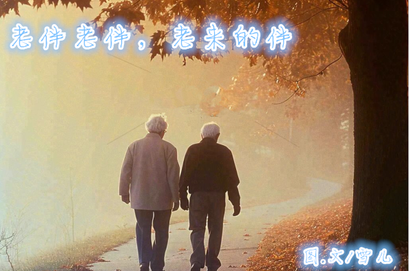 雪儿🎤V娱热点