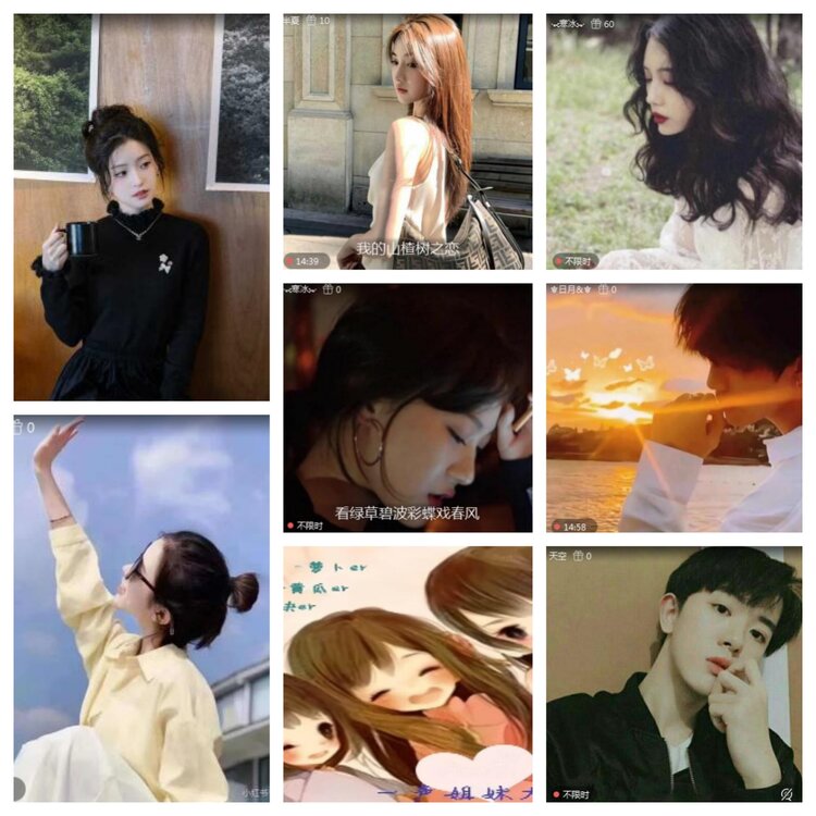 海燕🎤V娱热点