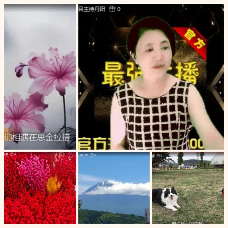 落雪🎤V娱热点