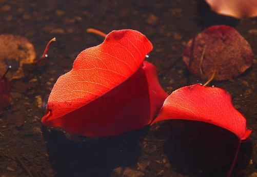 曾经🎤V娱热点