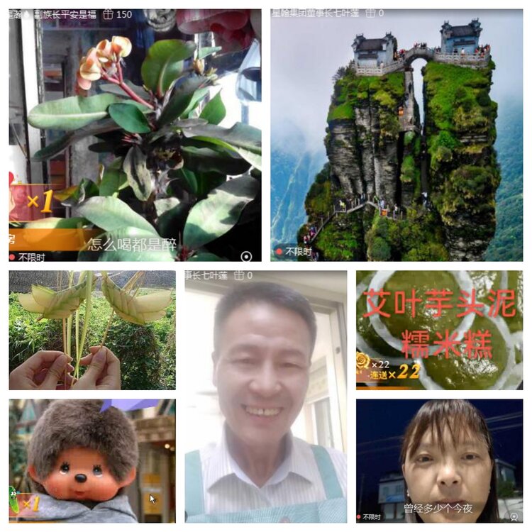 海燕🎤V娱热点