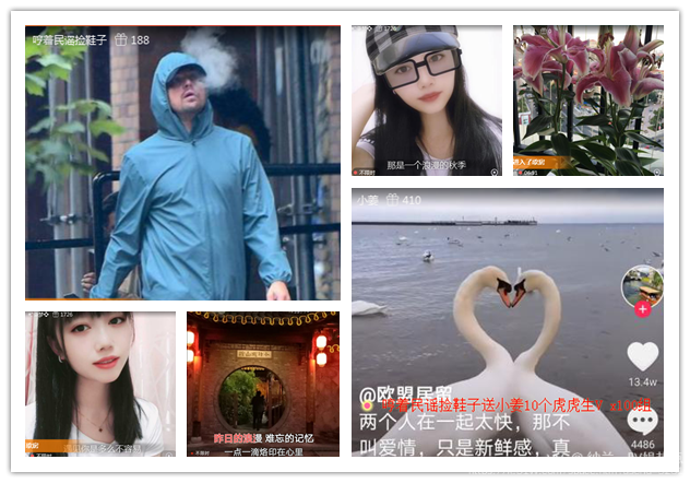 纳兰＿🎤V娱热点