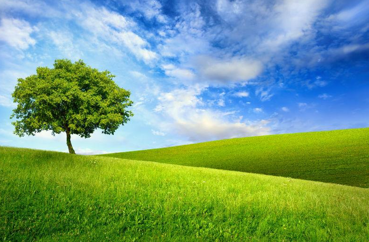 曾经🎤V娱热点