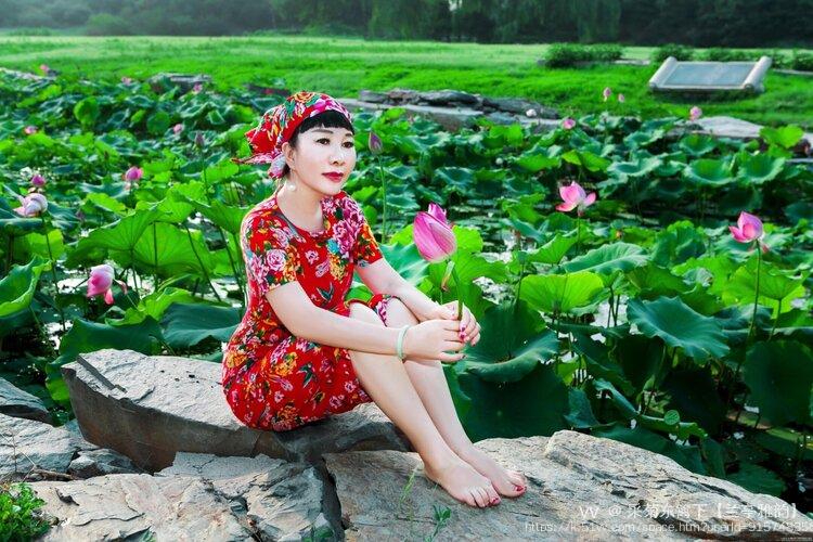 采菊东篱下【兰亭雅韵】