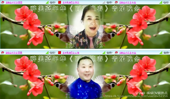 橘猫🎤V娱热点