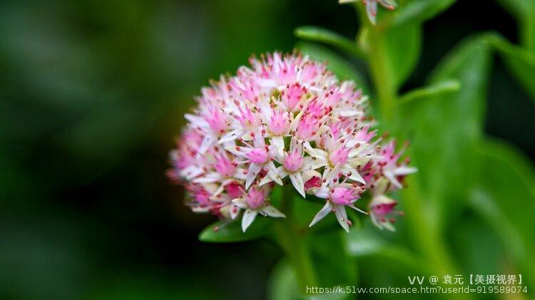 袁元【美摄视界】