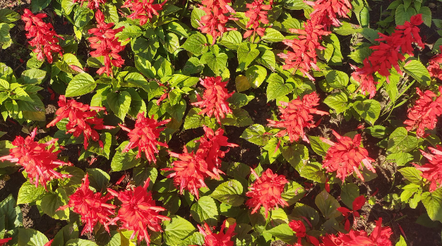 雪儿🎤V娱热点