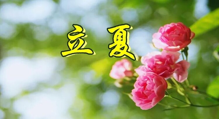 曾经🎤V娱热点