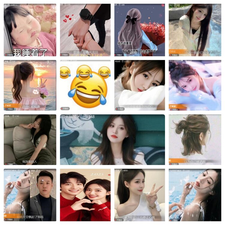 海燕🎤V娱热点