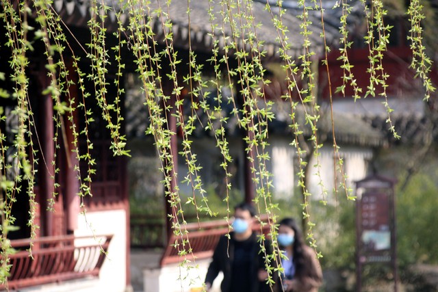 小浅🎤V娱热点