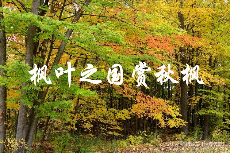 广州劳工【情暖天涯】