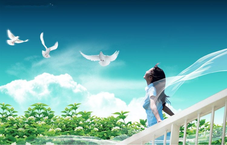 歌曲用心走天路演唱卑微瓦器