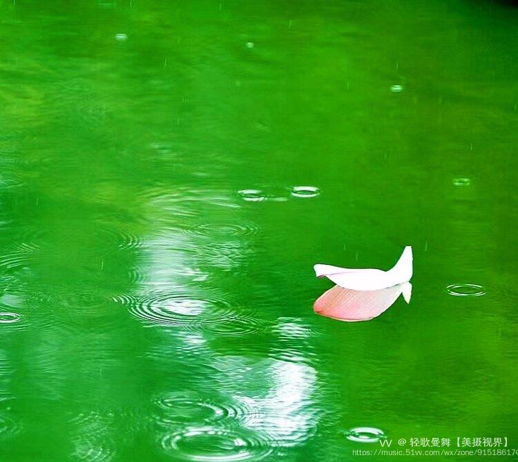 让泪化作相思雨