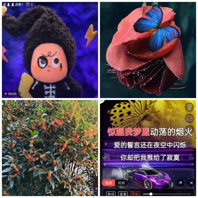 漂泊🎤V娱热点