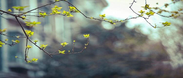 曾经🎤V娱热点