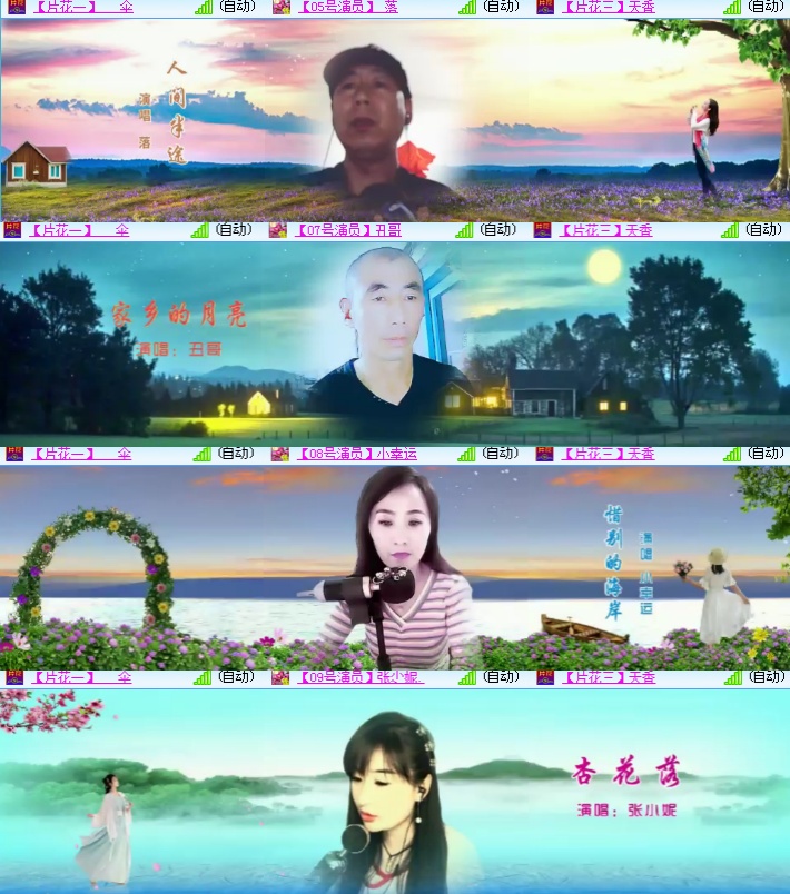 海燕🎤V娱热点