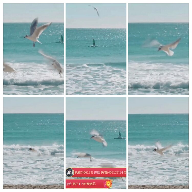 海燕🎤V娱热点