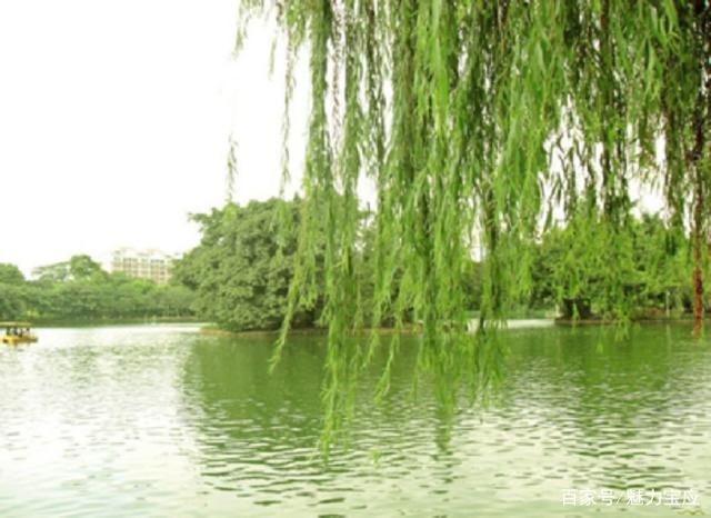 小浅🎤V娱热点